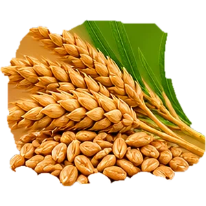 Экстракт конского каштана